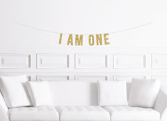 I am One Banner - Pretty Day