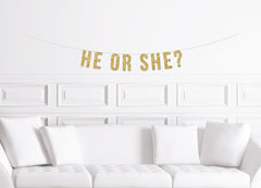 He or She Banner / Gold Glitter Gender Reveal Sign / Boy or Girl Decorations / Decor for a Gender Reveal Party / Modern Baby Shower - Pretty Day