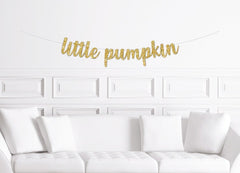 Little Pumpkin Party Banner Cursive / Halloween Themed Baby Shower Party Sign / Fall 1st Birthday Decor Decor Autumn First Birthday Boy Girl - Pretty Day