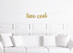 Two Cool Banner / Boy&#39;s Second Birthday Party Sign / 2nd Birthday Party Theme Ideas / Girl&#39;s Two Years Old / Modern Script Cursive Too Gold - Pretty Day