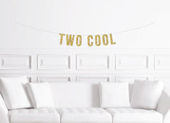 Two Cool Banner / Boy&#39;s Second Birthday Party Sign / 2nd Birthday Party Theme Ideas / Girl&#39;s Two Years Old / Modern Too Gold Letter Bunting - Pretty Day