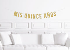 Mis Quince Años Birthday Party Banner, Quinceanera Decor Decorations - Pretty Day