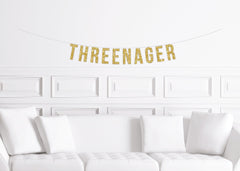 Funny 3rd Birthday Decorations, Threenager Banner, Sassy Third Birthday Decor, Three Nager - Pretty Day