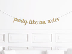 Party Like An Aries Banner