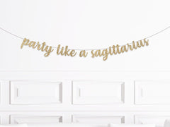 Party Like A Sagittarius Banner - Pretty Day