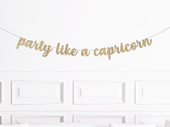 December Birthday Banner, Party Like A Capricorn Banner, Zodiac Birthday Party Decorations, Astrology Birthday Banner, January Birthday - Pretty Day