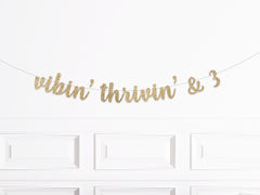 Vibin&#39; Thrivin&#39; and 3, 3nd birthday boho daisy decor, 70&#39;s theme banner second birthday girl, Coachella 3rd birthday - Pretty Day