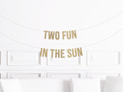 Sun Theme Party Decorations, Two Fun in the Sun Party Banner, 2nd Birthday Sun Decor, Sunshine 2nd Birthday Decorations - Pretty Day