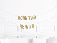 Born Two Be Wild Banner, Two Wild Birthday Decorations, Rock and Roll 2nd Birthday Party Decor, Safari Themed Party - Pretty Day