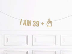 I am 39 Plus Middle Finger Birthday Banner, Funny Middle Finger 40th Birthday Decorations, Man Woman Fortieth Birthday Decor - Pretty Day