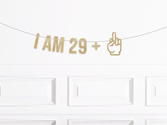 I am 29 Plus Middle Finger Birthday Banner, Funny Middle Finger 30th Birthday Decorations, Man Woman Thirtieth Birthday Decor, I&#39;m - Pretty Day