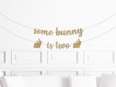 Some Bunny Is Two Second Birthday Decorations, Bunny Themed 2nd Birthday Banner, Bunny Theme Party Supplies Banner - Pretty Day