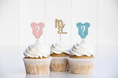 Gender Reveal Cupcake Toppers, He or She What Will It Be Decorations, Boy or Girl Decor, Baby Bodysuit Question Mark Picks, Here for the Sex - Pretty Day