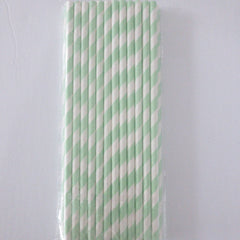 Mint Green and White Striped Eco Friendly Paper Straws S1082 - Pretty Day